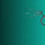 Ethical Hacking – Basics (Kali 2021.1)