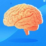 How we cover education and personal development products at Insider Reviews – Business Insider