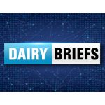 Dairy briefs | Dairy Foods – dairyfoods.com