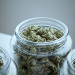 Biden FDA pick prescribed cannabis meds (Newsletter: November 15, 2021) – Marijuana Moment