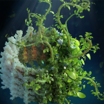 Calendar of events, awards and opportunities – American Society for Biochemistry and Molecular Biology