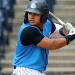 How Yankees’ recent international free agents fared in debut seasons – Pinstripe Alley