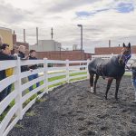 A horse slicker is just a horse slicker, of course, of course, unless it can monitor chronic disease – Purdue News Service