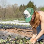 Rodale Institute Launches Course on Regenerative Agriculture – Food Tank – Food Tank