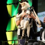 Udacity and Google launch free career courses for interview prep, resume writing and more – TechCrunch