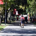 Learn for free: 5 free Ivy League courses to gain new skills – Study International News