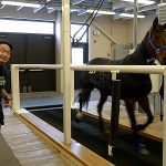 How do you test for equine asthma and heart disease using a remote horse slicker? Put the horse on a treadmill. – Purdue University