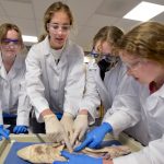 Boulder County graduating seniors celebrate accomplishments after pandemic school disruptions – Boulder Daily Camera