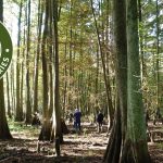 LDWF Launches New Free Fishing Education Courses – Louisiana Department of Wildlife and Fisheries