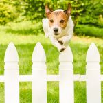 3 Ultra-Growth Stocks That Simply Cannot Be Stopped – The Motley Fool