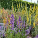 Sign-ups being taken now for preliminary Master Gardener training – Nevada Today