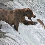 Stock Market Today (6/16/22): Bears Viciously Repel Post-Fed Rally – Kiplinger's Personal Finance