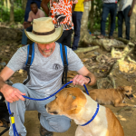 One Health in action: Rabies training brings together human and animal health professionals in Côte d'Ivoire – who.int