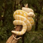 The best online Python courses – PCWorld